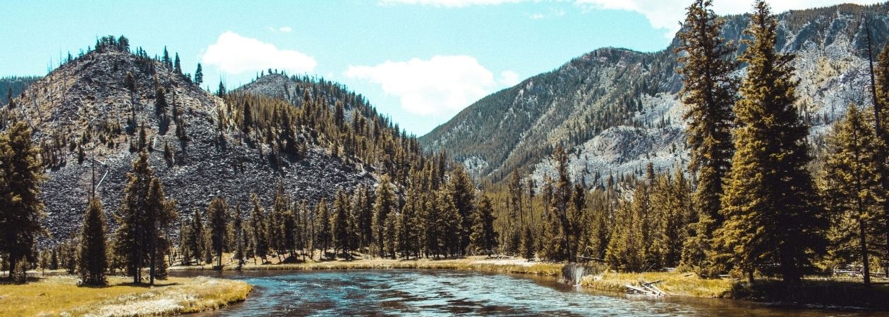 Yellowstone National Park, Wyoming